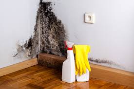 Kendale Lakes, FL Mold Inspection Company